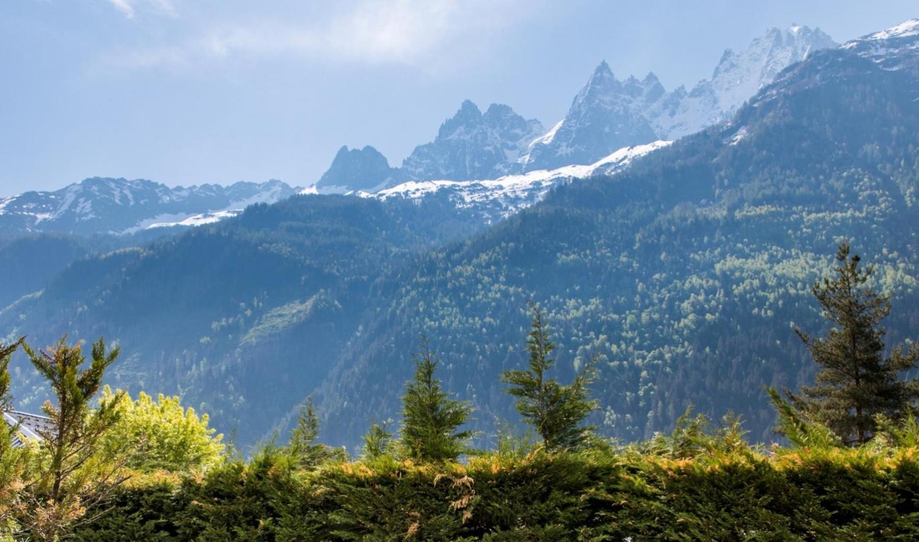 Villa Floria Apartment Chamonix Exterior photo